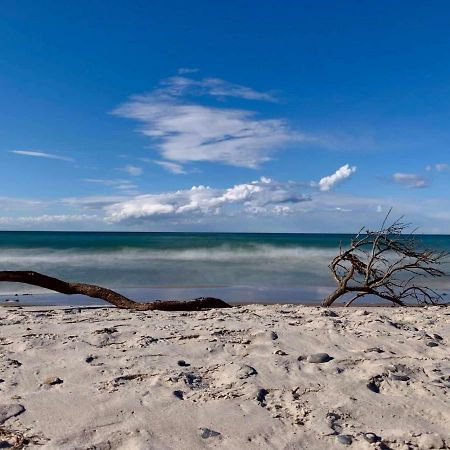 Ferienapartment Wiese & Meer Auf Ruegen Neddesitz エクステリア 写真