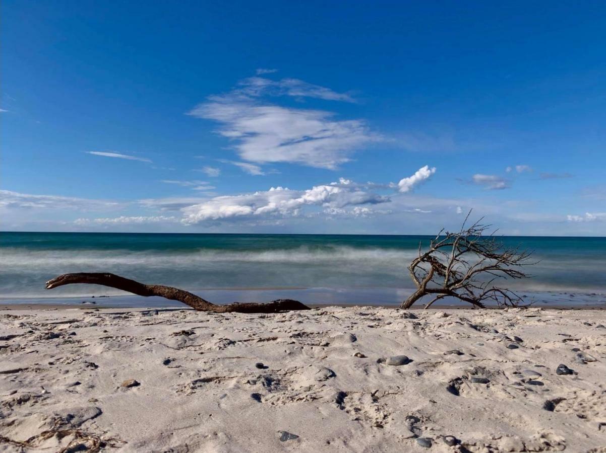 Ferienapartment Wiese & Meer Auf Ruegen Neddesitz エクステリア 写真
