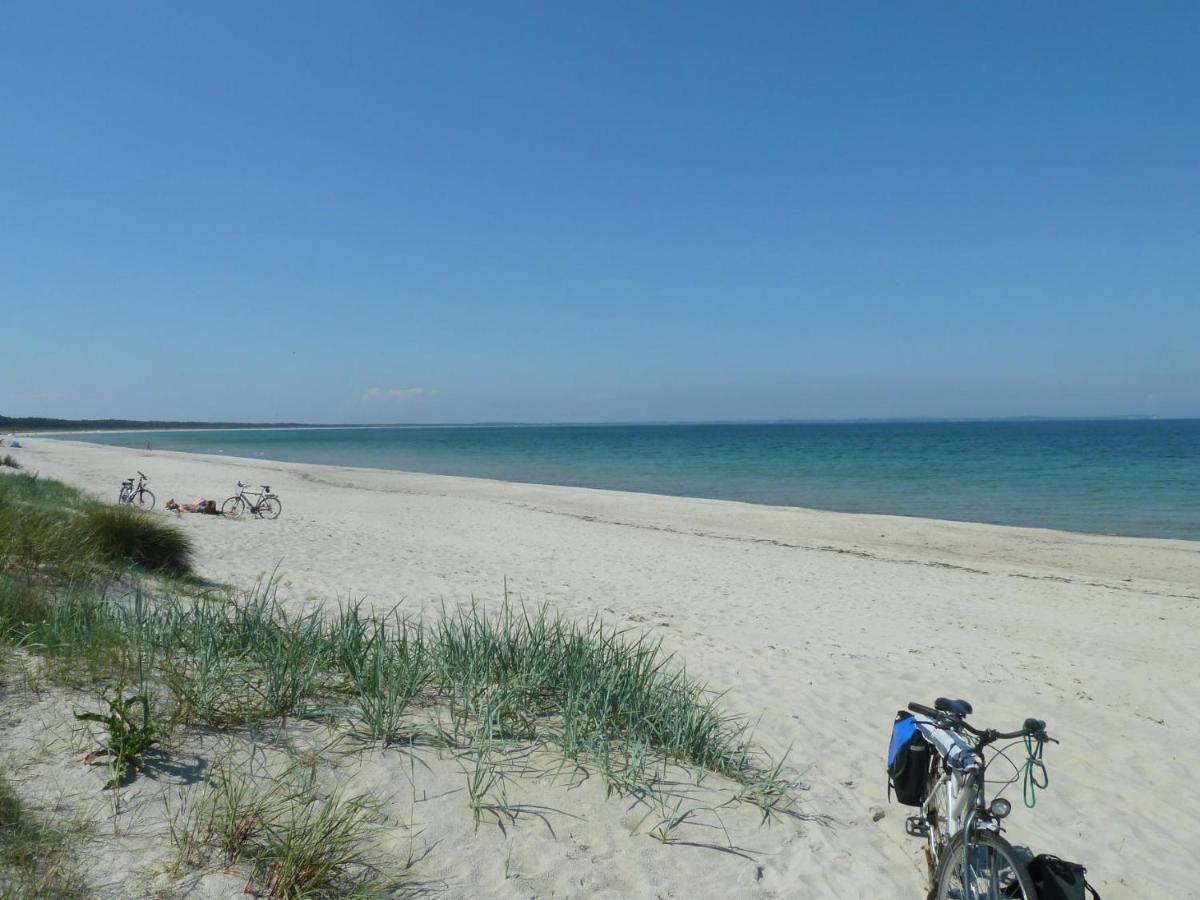 Ferienapartment Wiese & Meer Auf Ruegen Neddesitz エクステリア 写真