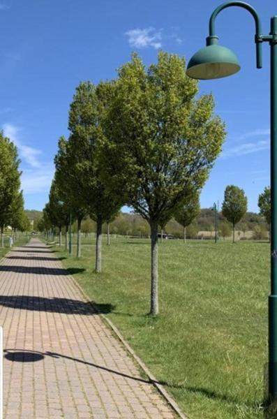 Ferienapartment Wiese & Meer Auf Ruegen Neddesitz エクステリア 写真