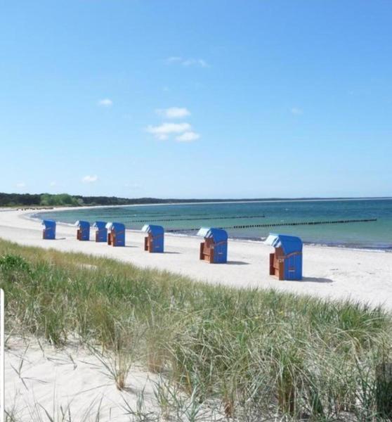 Ferienapartment Wiese & Meer Auf Ruegen Neddesitz エクステリア 写真