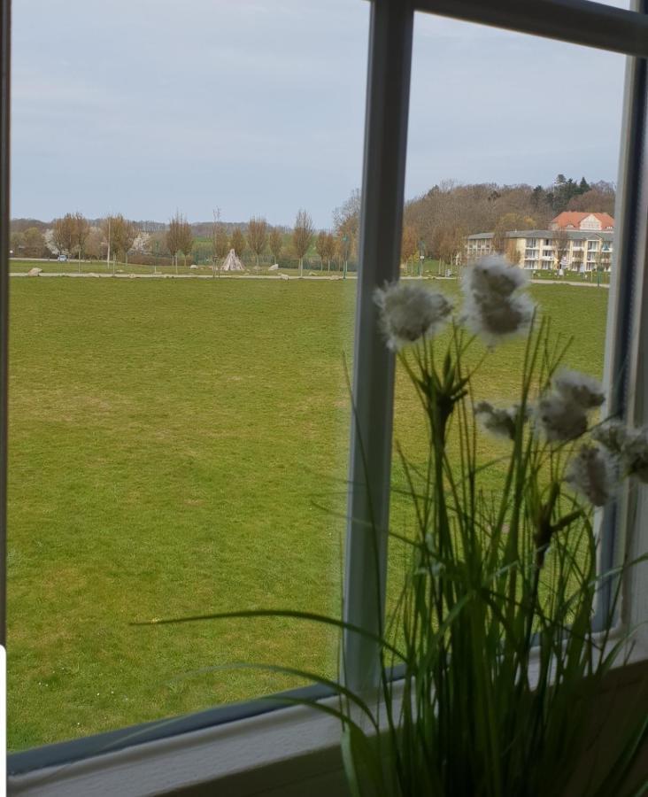 Ferienapartment Wiese & Meer Auf Ruegen Neddesitz エクステリア 写真