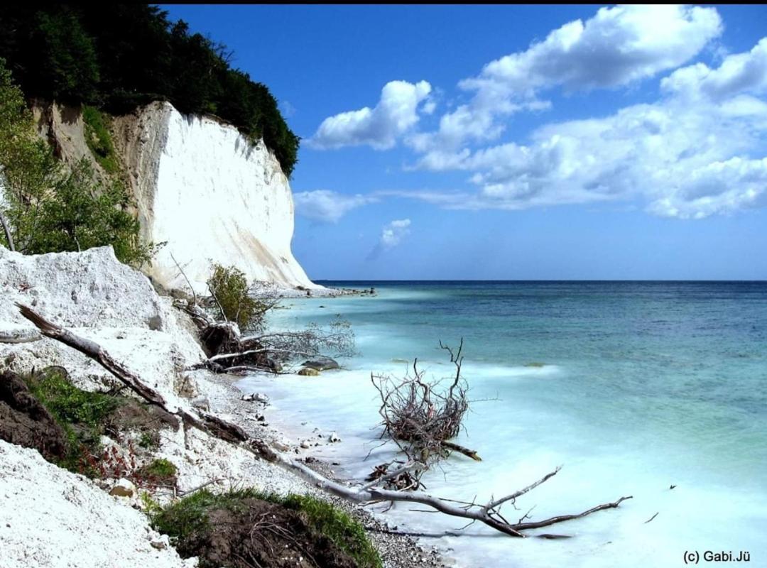 Ferienapartment Wiese & Meer Auf Ruegen Neddesitz エクステリア 写真